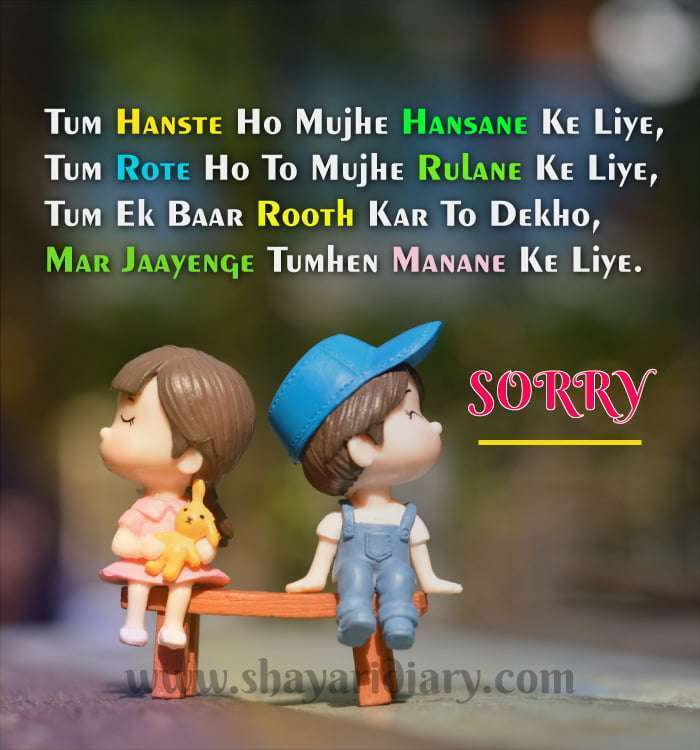 तुम हँसते हो मुझे हँसाने के लिए - Hindi Sorry Shayari