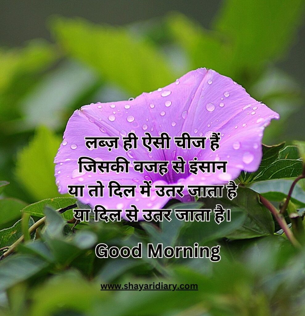 googd morning wishes in hindi